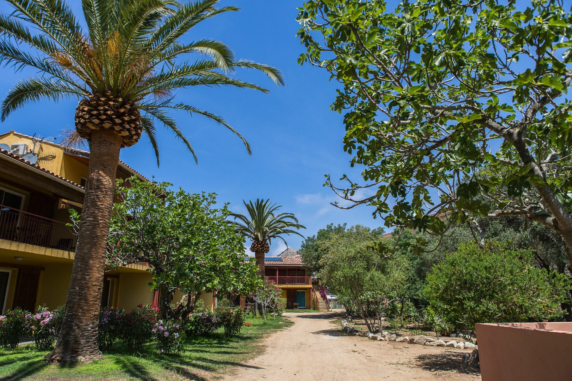 Casa Vecchia Rooms + Apartments Calvi  Buitenkant foto